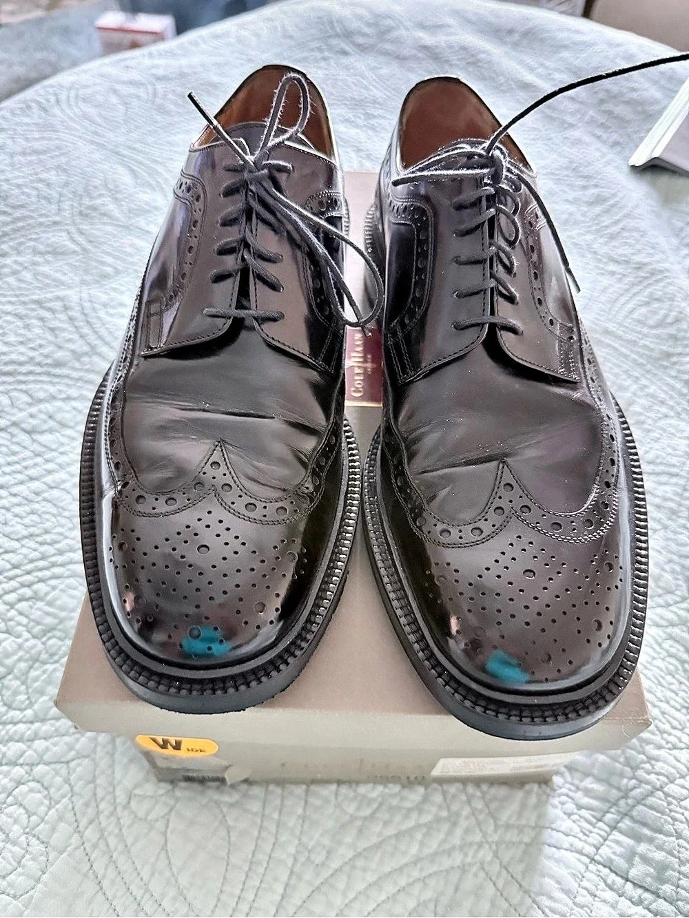 Cole Haan Petersen Wingtip Brogue Oxfords Dress shoes Black US 8 E Wide - New